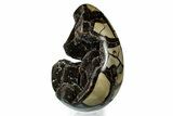 Septarian Dragon Egg Geode - Sparkly Black Crystals #339343-1